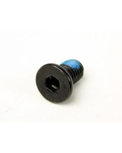 Envy Brake Bolt